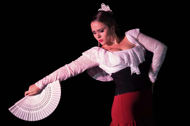 Nosso Flamenco -foto de Vitor Damiani -1b-1
