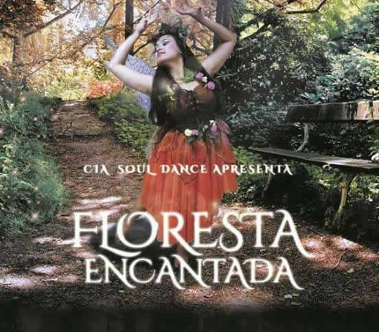 Seres magicos na floresta encantada