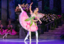 Sessão “Pipoca com Ballet” #012: O Romance do Botão de Rosa e da Borboleta