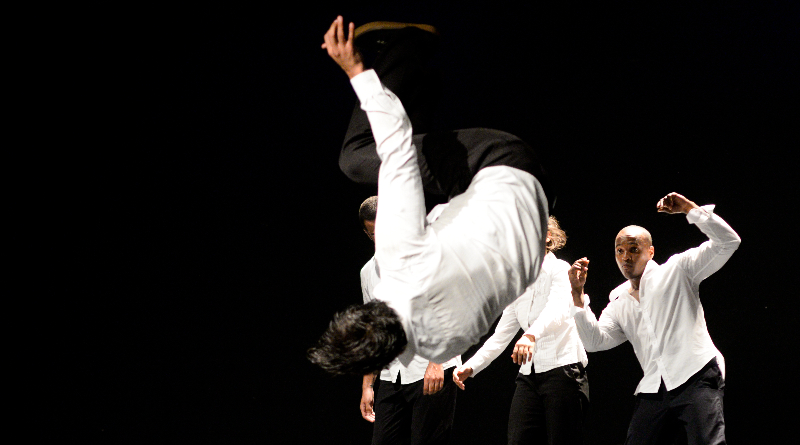 Camaleão Grupo de Dança promove audição para novos bailarinos