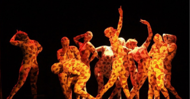 Studio Voga Abre Inscrições para audição da Cia. Lagunense de Dança