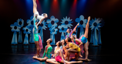 Cia Dançar a Vida abre audição no Rio de Janeiro