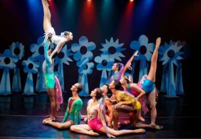 Cia Dançar a Vida abre audição no Rio de Janeiro