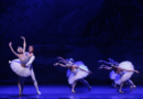 Ballet Clássico de São Petersburgo apresenta “O Lago dos Cisnes” em sessão única no Teatro Liberdade, em São Paulo