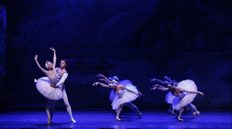Ballet Clássico de São Petersburgo apresenta “O Lago dos Cisnes” em sessão única no Teatro Liberdade, em São Paulo