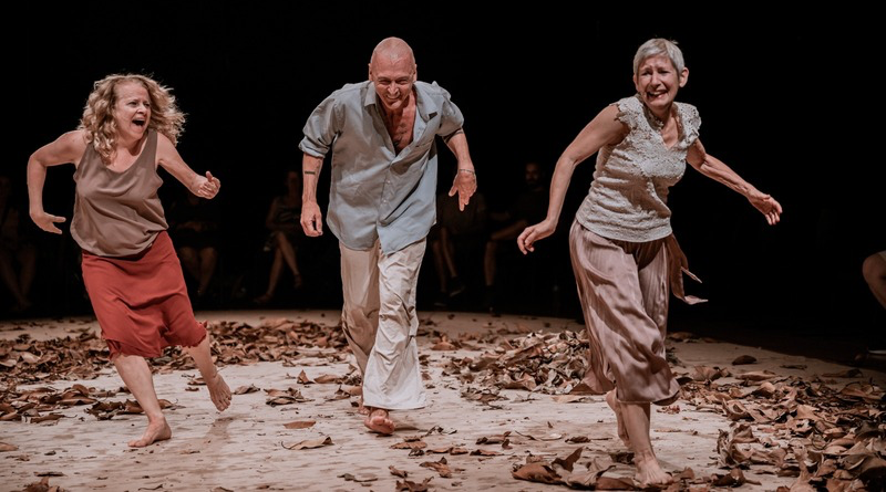 Claudia Palma, Armando Aurich e Ana Mondini reestreiam “Miêdka – Uma Metáfora do Encontro” na Funarte